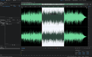 Read more about the article Advanced Audio Editing Software